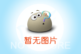 手拉葫芦罩壳内进入杂物有哪些危害？